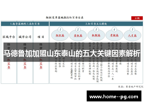 马德鲁加加盟山东泰山的五大关键因素解析 马德鲁加加盟山东泰山的五大关键因素解析