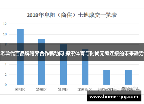 老詹代言品牌跨界合作新动向 探索体育与时尚无缝连接的未来趋势