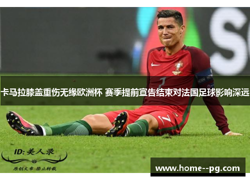 卡马拉膝盖重伤无缘欧洲杯 赛季提前宣告结束对法国足球影响深远 卡马拉膝盖重伤无缘欧洲杯 赛季提前宣告结束对法国足球影响深远